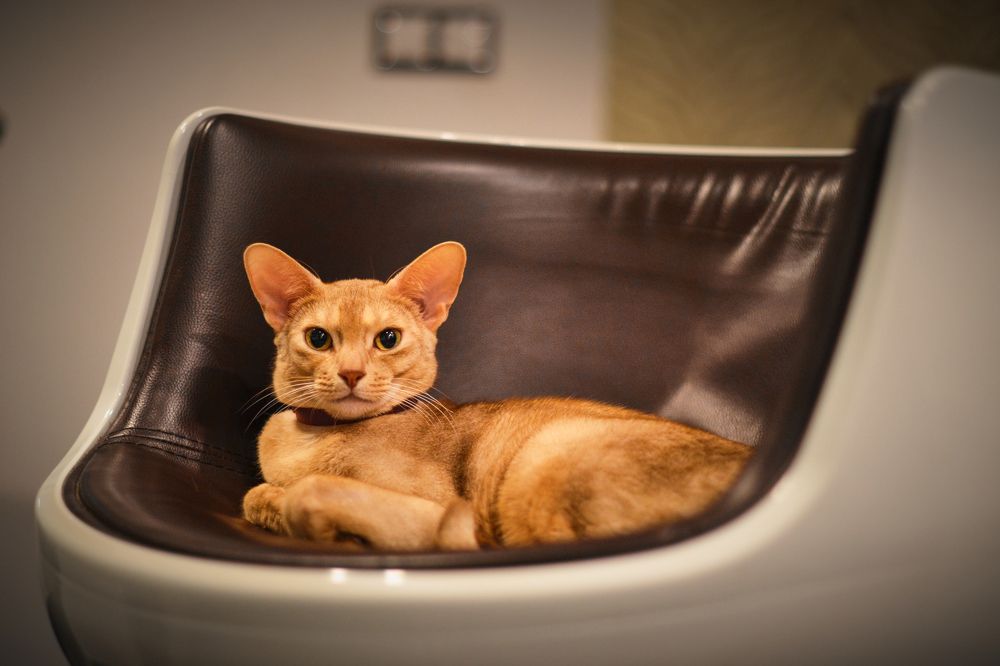 Photograph by Самосудов Рустам