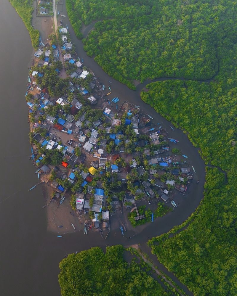 A Village Embraced by Mangroves