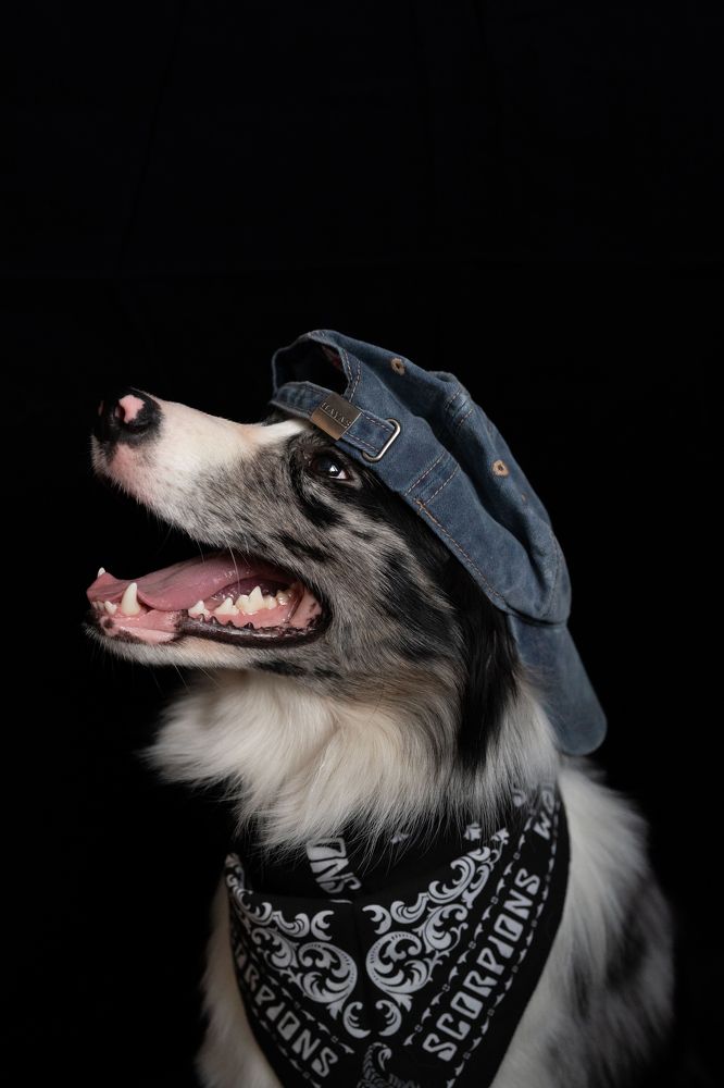 Photograph by Ольга Кушнарева