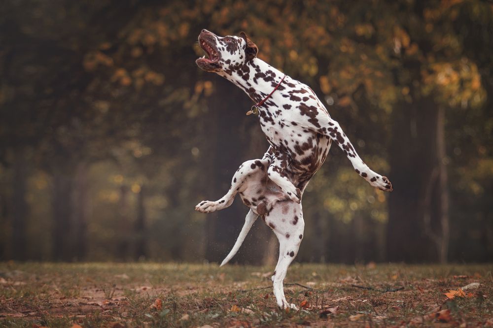 Photograph by Яна Нарбутович