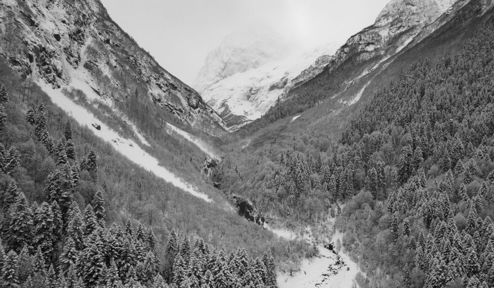 Photograph by Вадим Сташкевич