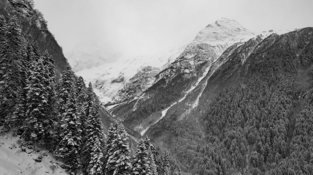 Photograph by Вадим Сташкевич