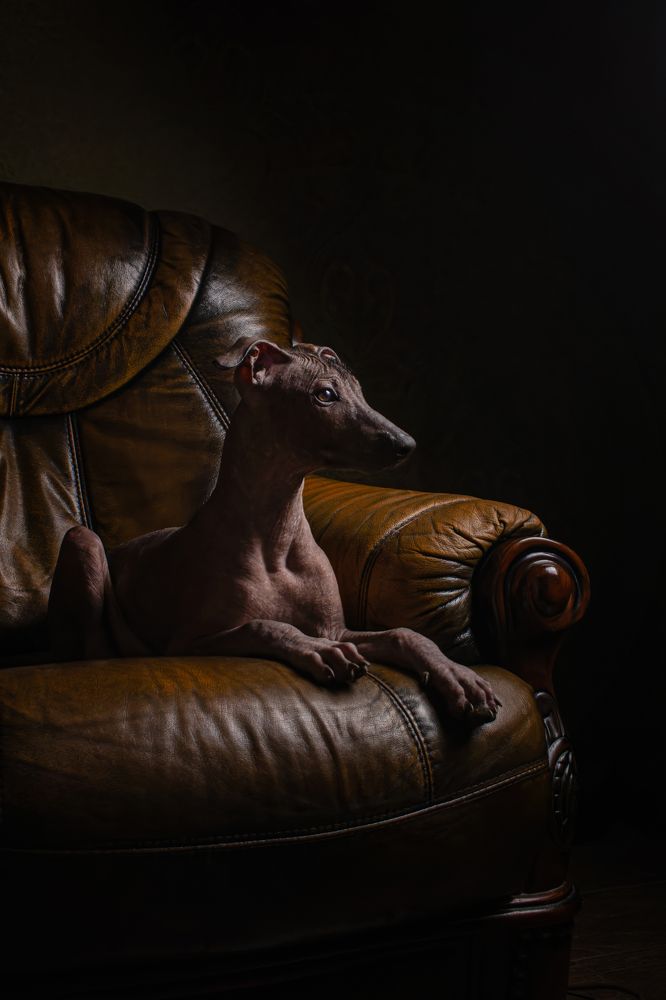 Photograph by Зубкова Юлия