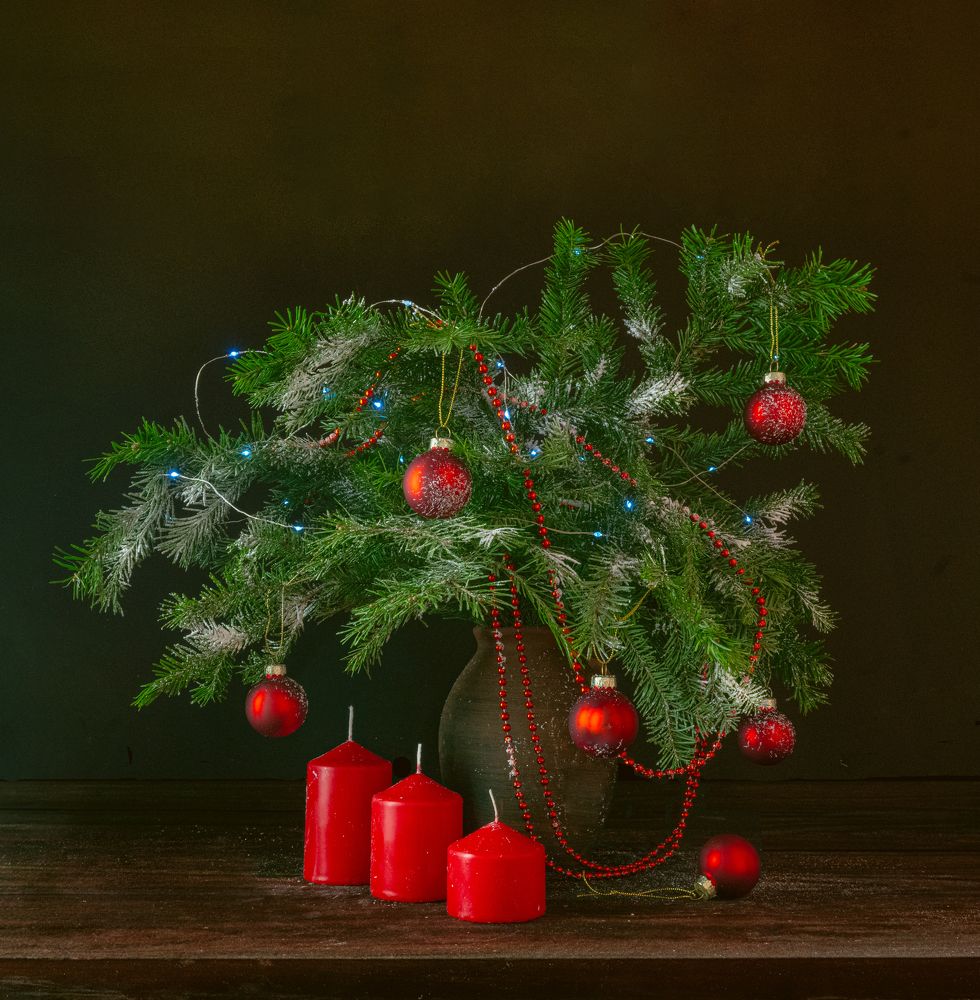 Photograph by Ольга Дерябина