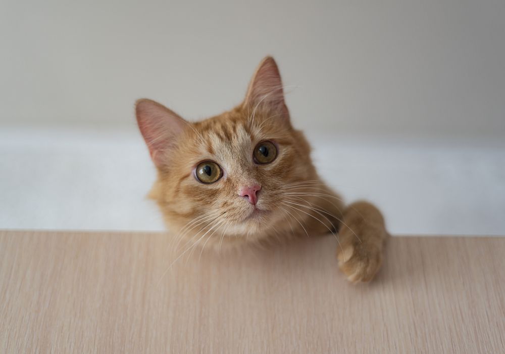 Photograph by Алёна