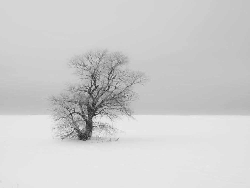 Фотография автора Вячеслав Бобин