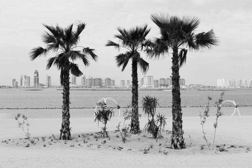 Photograph by Алексейчик Дмитрий