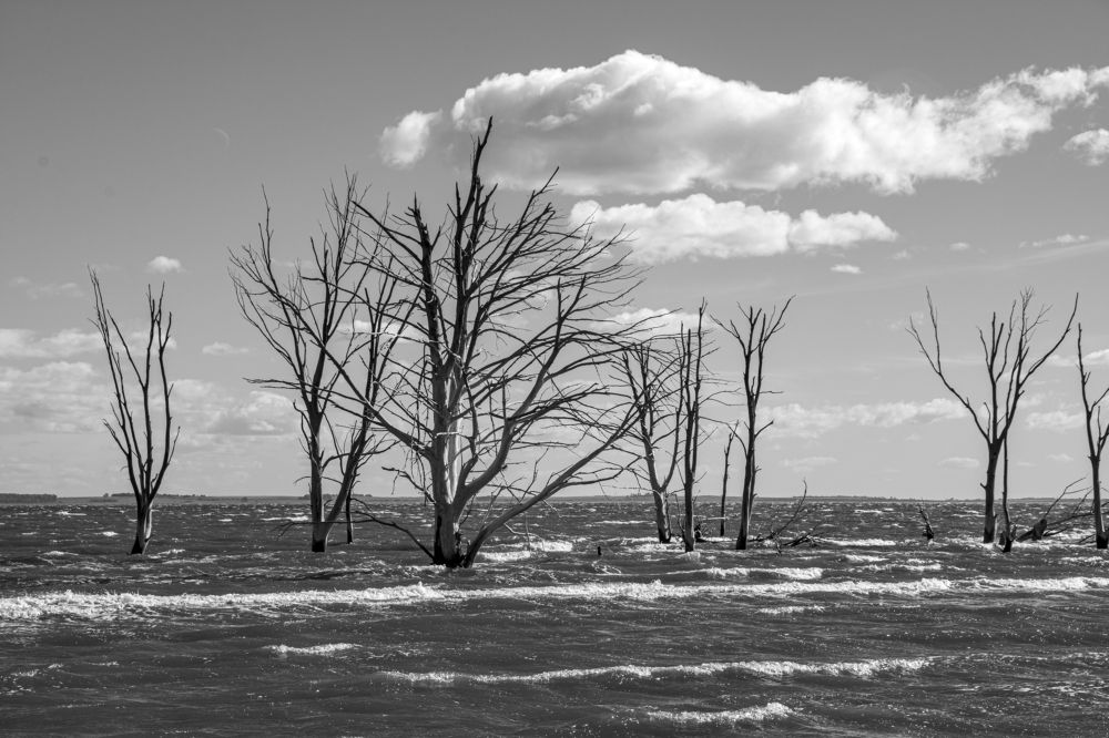 Photograph by gustavo gatto