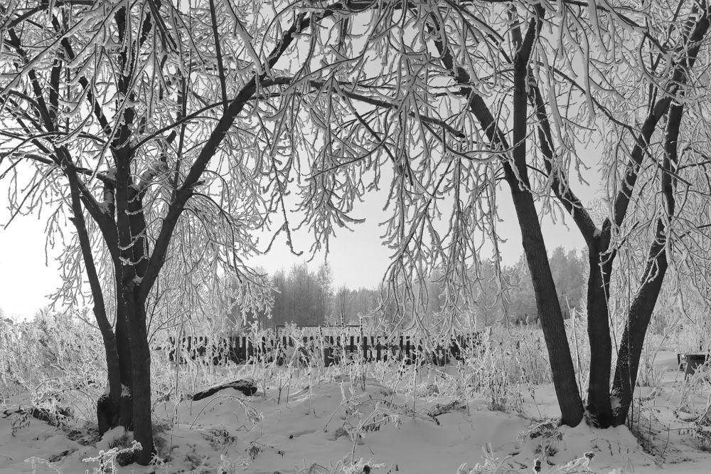 Photograph by Наталья Юрова