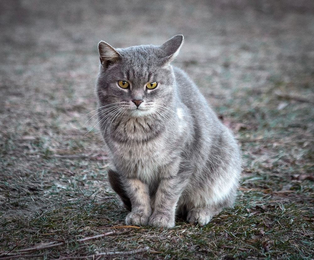 Photograph by Ткачёв Владимир