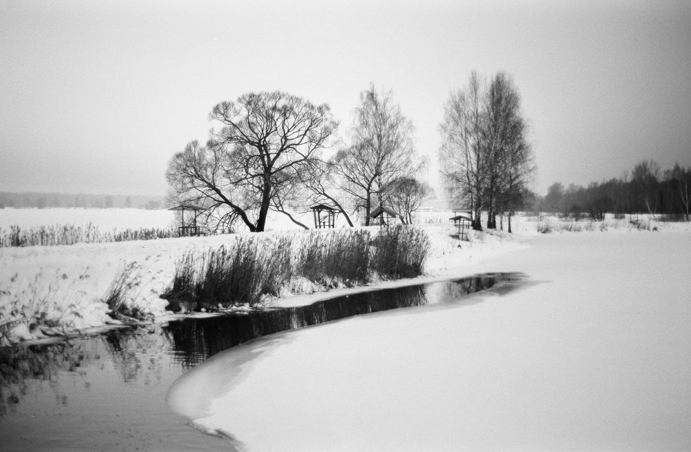 Photograph by Юлия Фомина