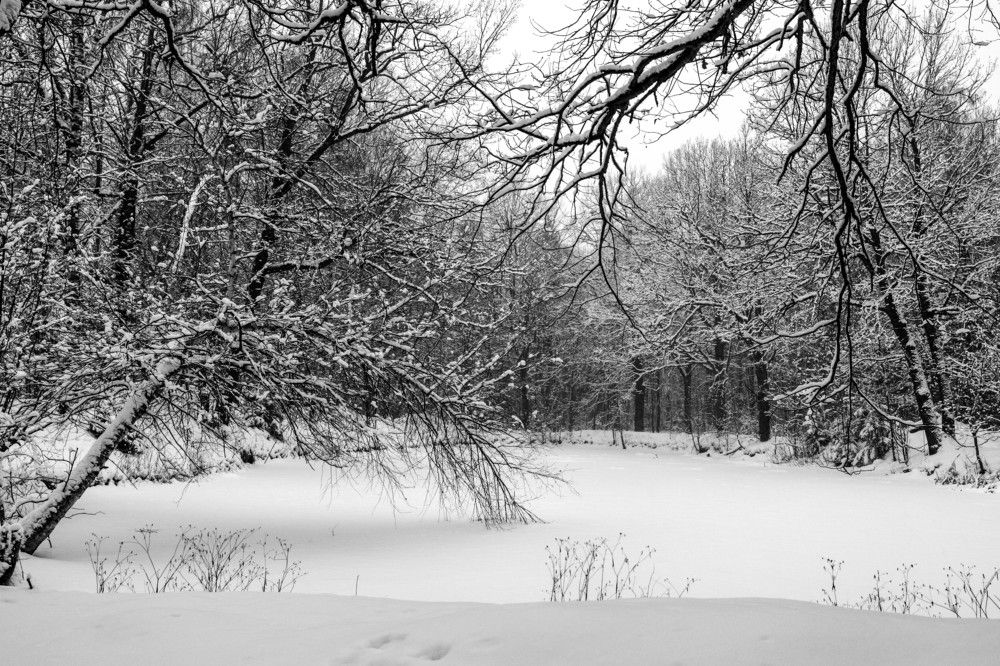 Photograph by Алексей Гильберт