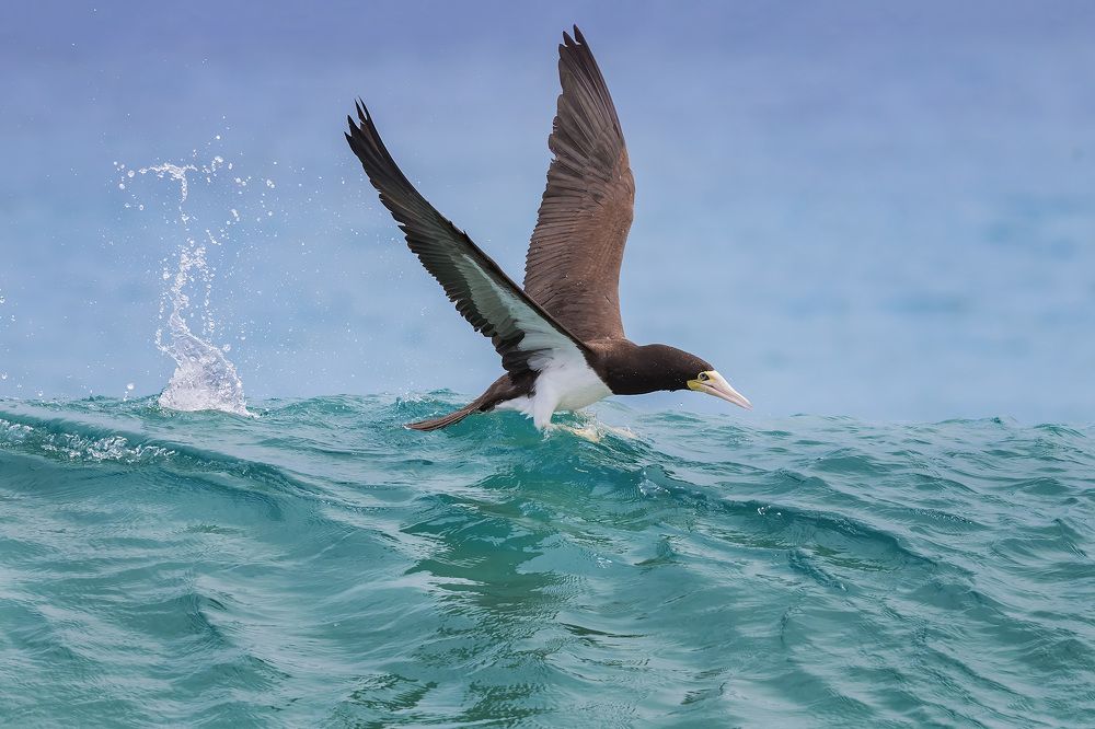 Photograph by André Inidio