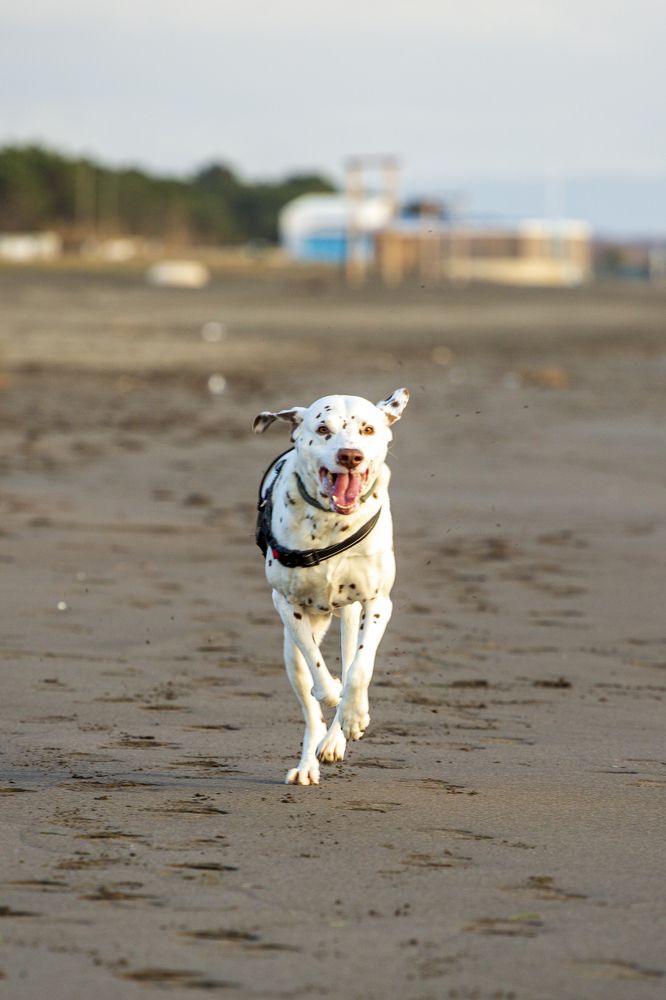 Photograph by Евгений Цапенко