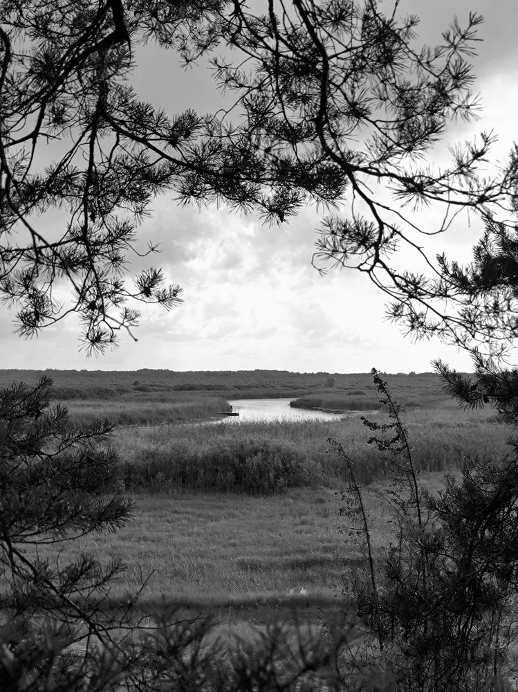 Photograph by Татьяна Яцкевич