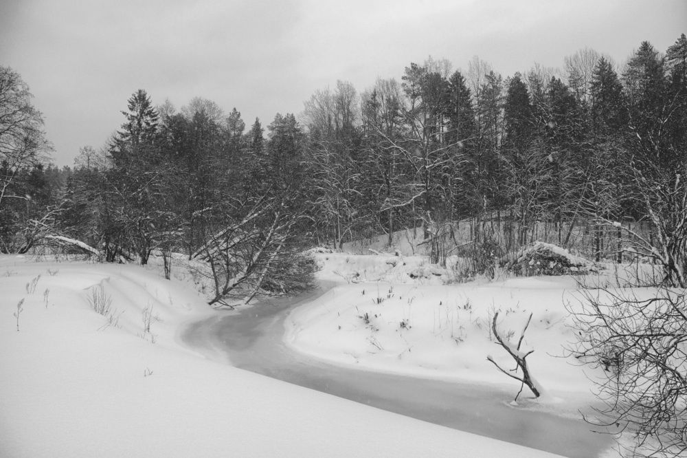 Фотография автора Игорь Ефремычев
