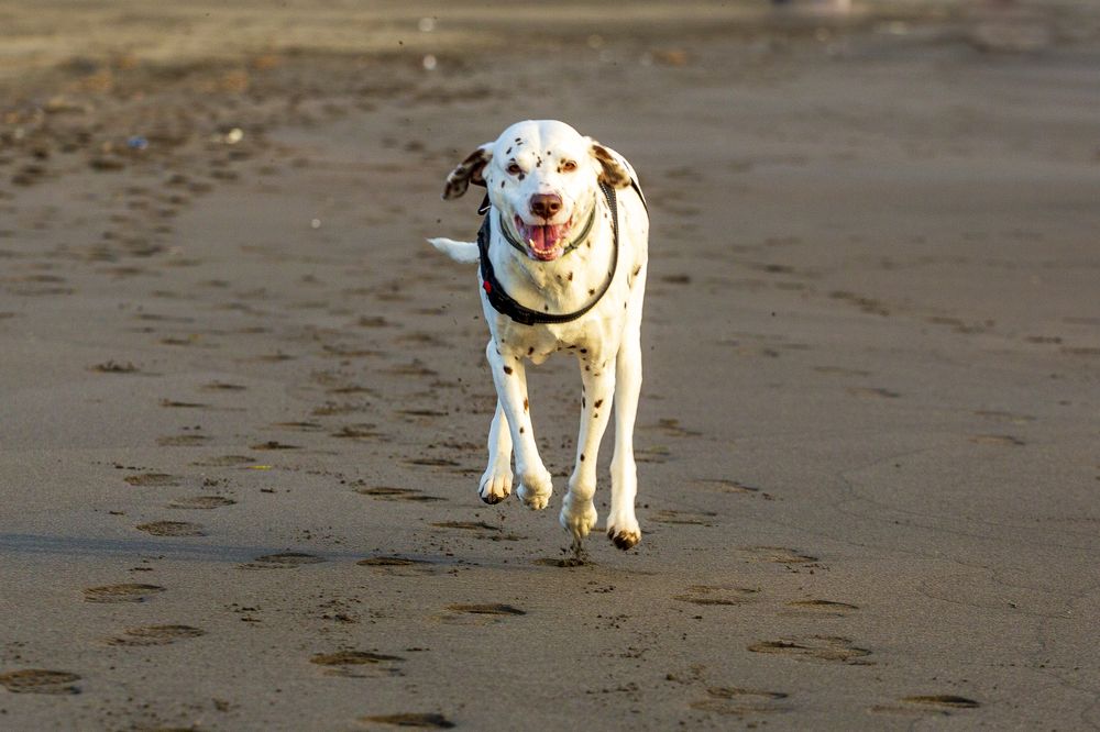 Photograph by Евгений Цапенко