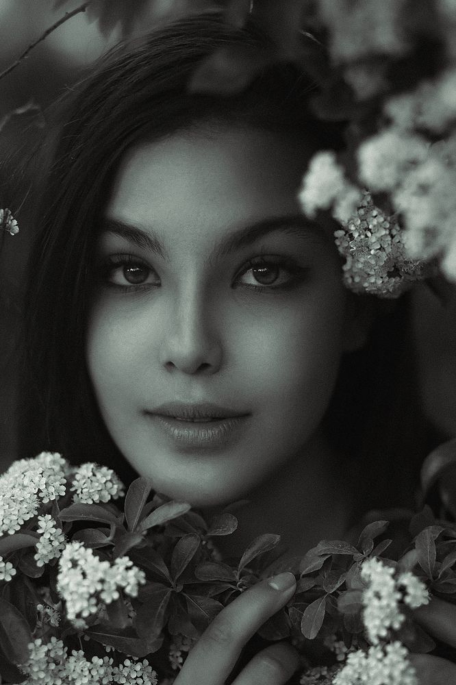 Фотография автора Mohammad Pakniyat