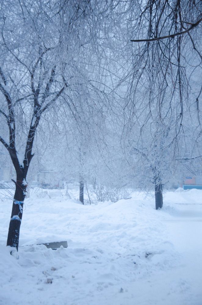 Photograph by Наталия Иванова