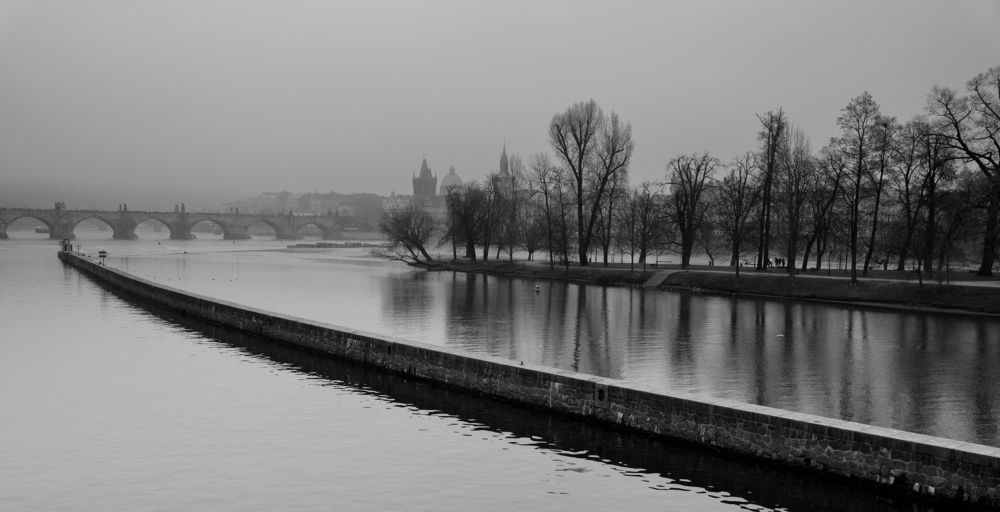 Fog in Prague