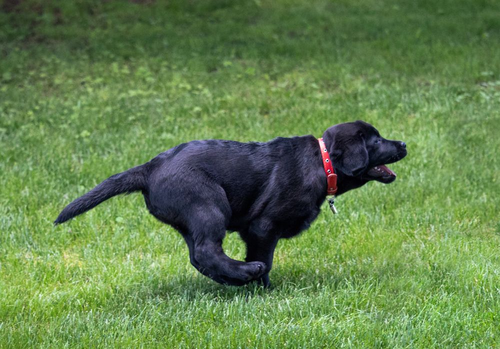 Photograph by Genadi Yakovlev