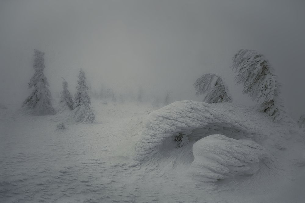 Photograph by Сергей Алексеевич