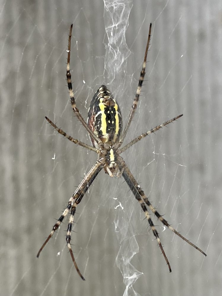 Photograph by Татьяна Токарева