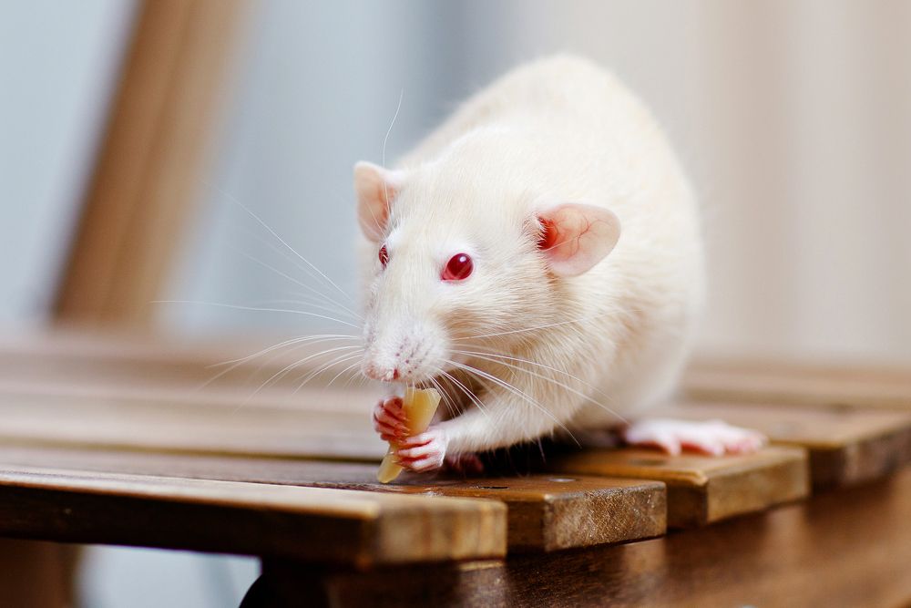 Photograph by Вербицкий Петр