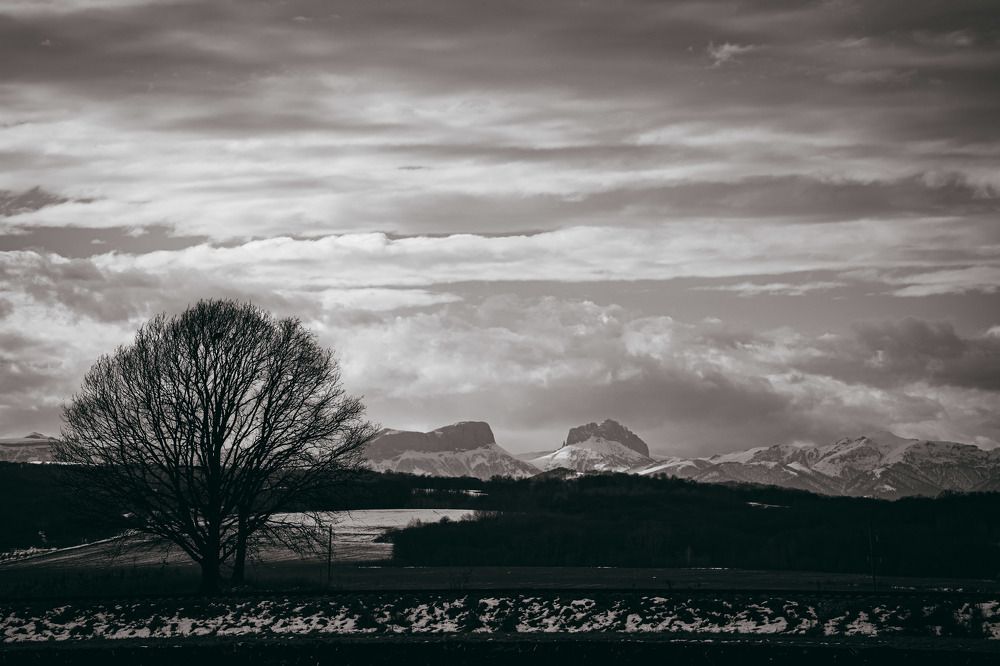 Photograph by Дмитрий Бутенко