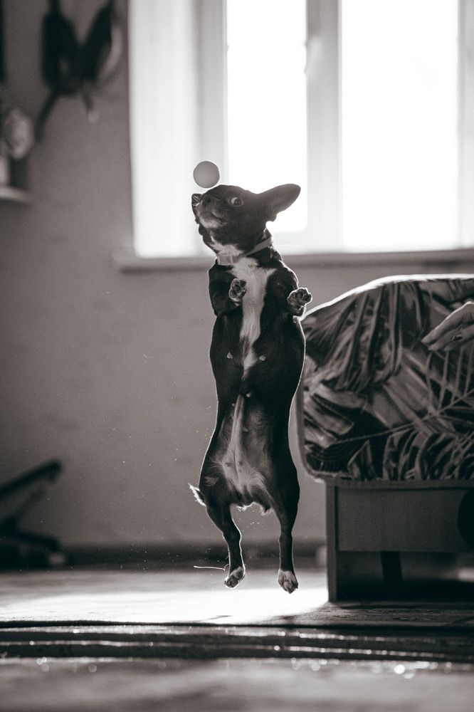 Photograph by Дмитрий Бутенко