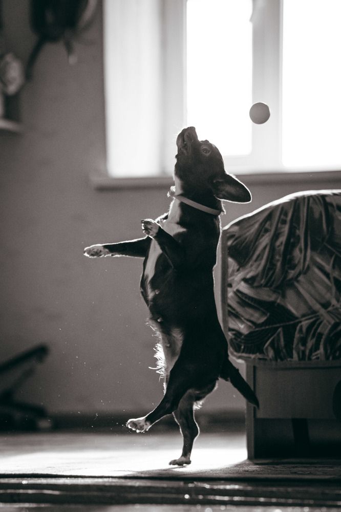 Photograph by Дмитрий Бутенко