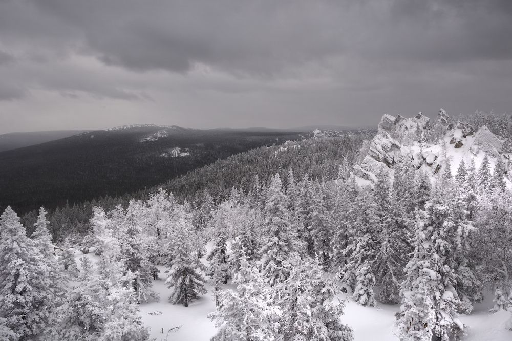 Photograph by Сергей Алексеевич