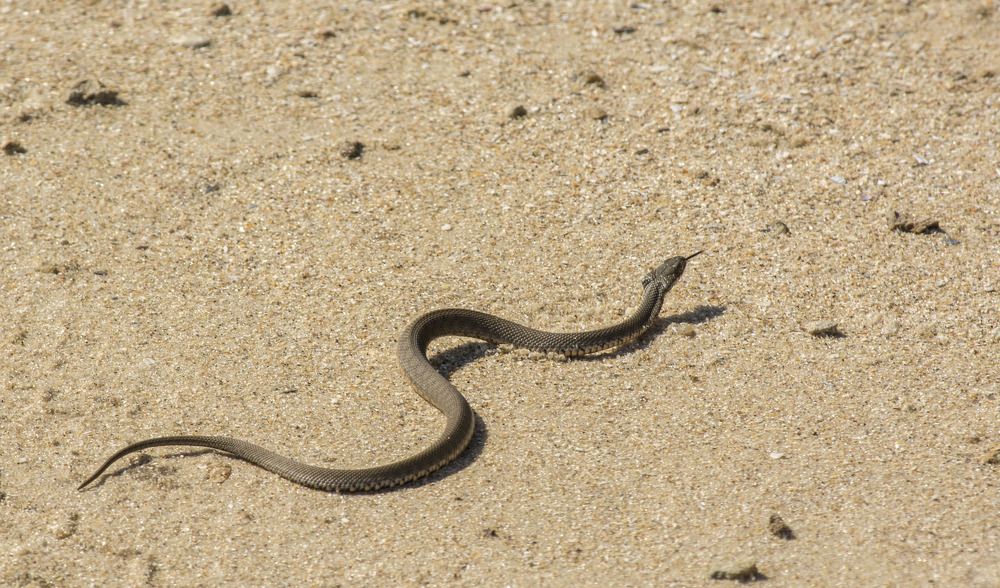 Photograph by Савчук Сергей