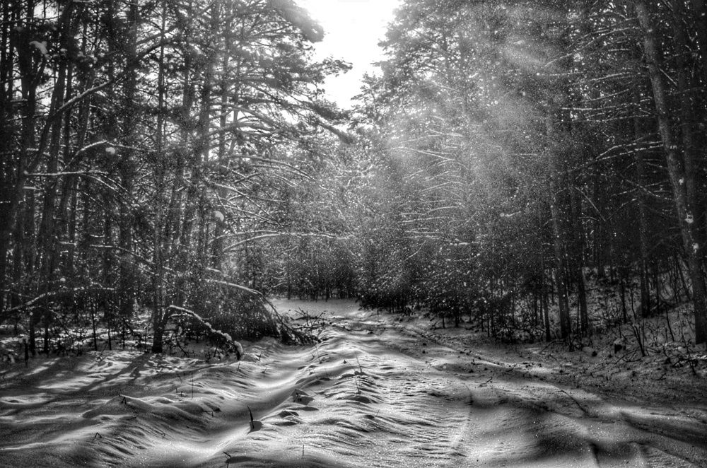 Фотография автора Ольга Беликова