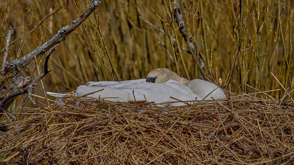 Photograph by Valery Zmachynski