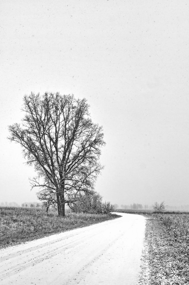 Photograph by Гагик Мхитарян