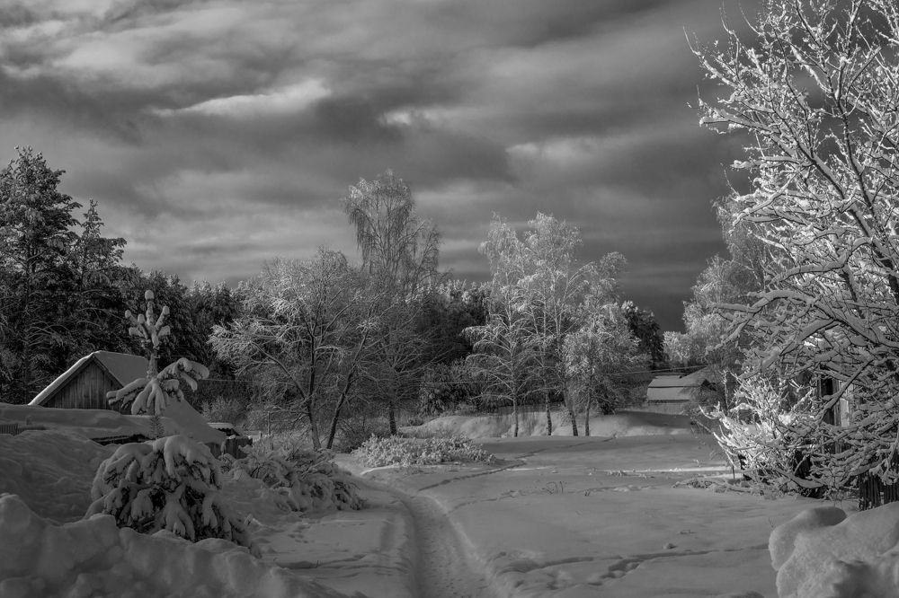 Photograph by Алексеев Дмитрий