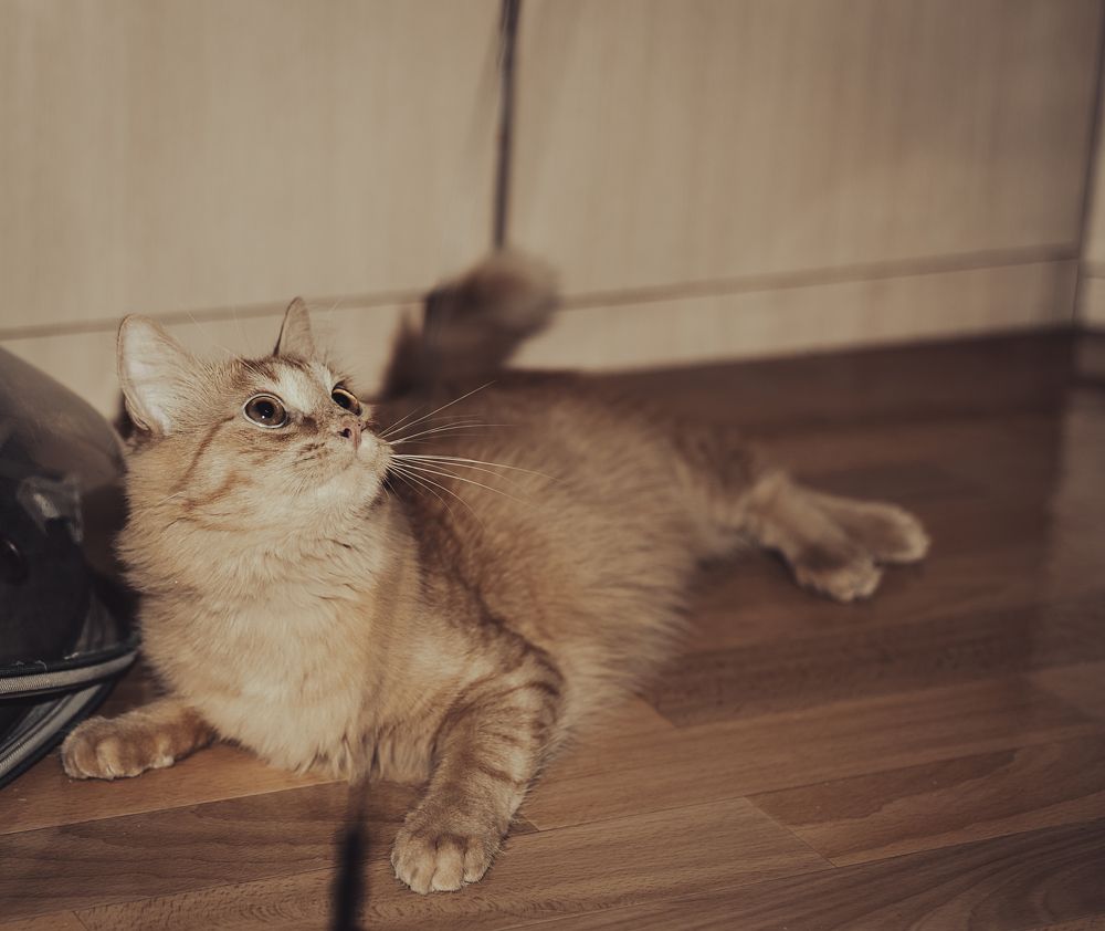 Photograph by Алёна