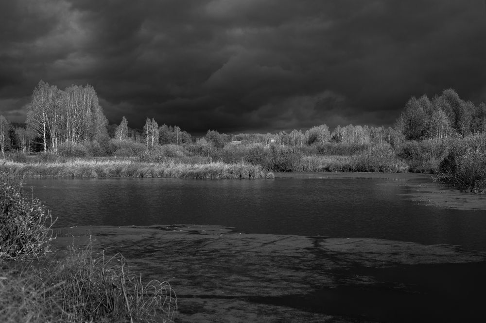 Photograph by Алексеев Дмитрий