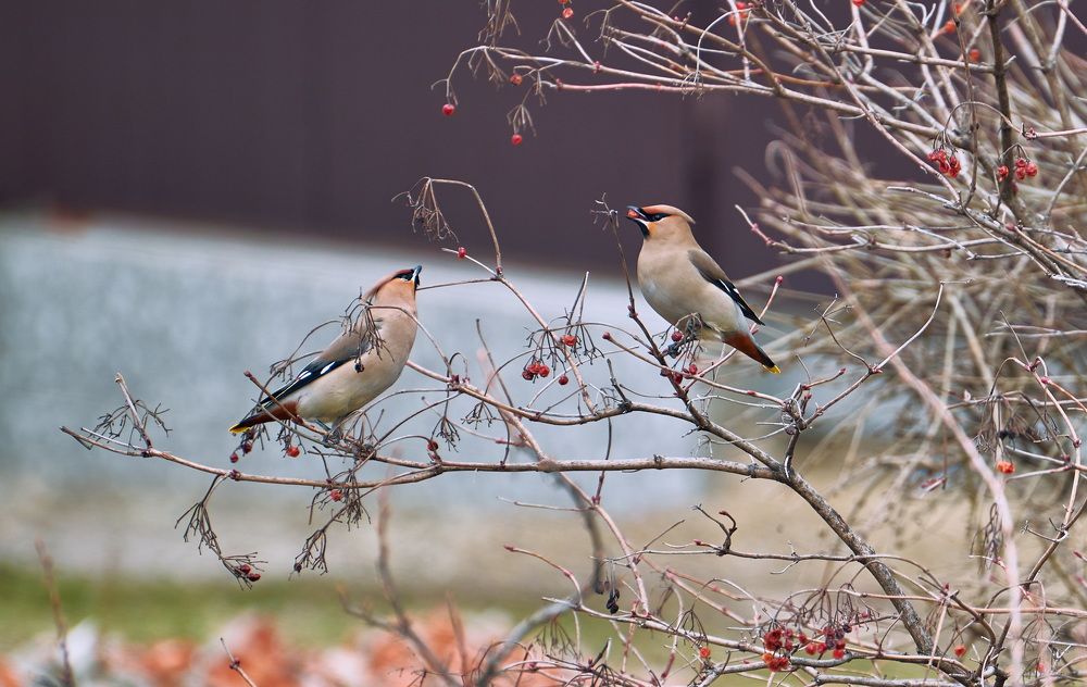 Photograph by Yaroslav