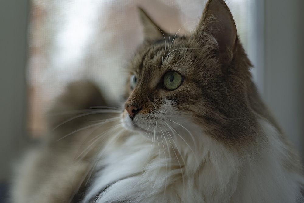 Photograph by Алёна