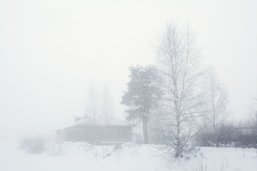 Photograph by Алексеев Дмитрий