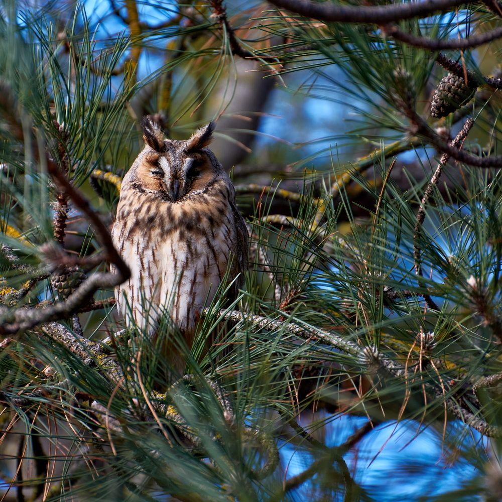 Photograph by Yaroslav