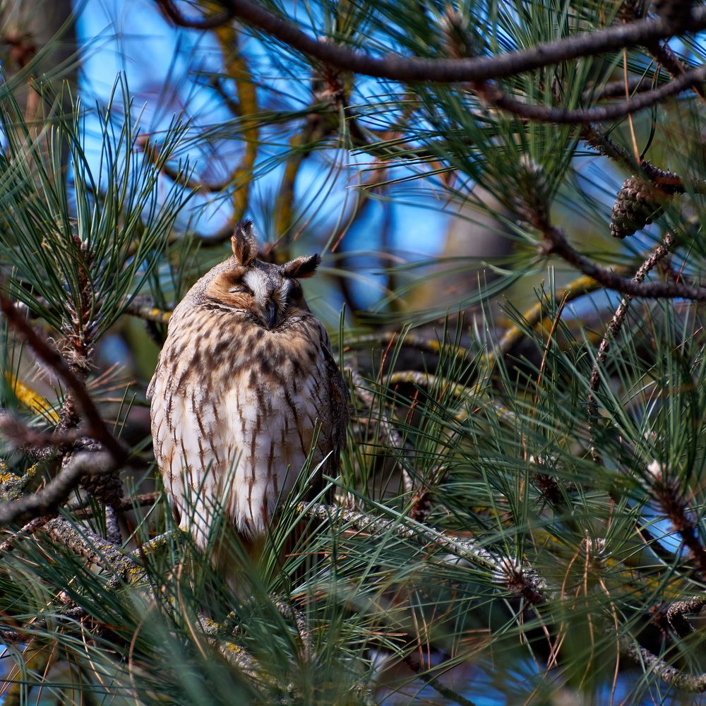 Photograph by Yaroslav