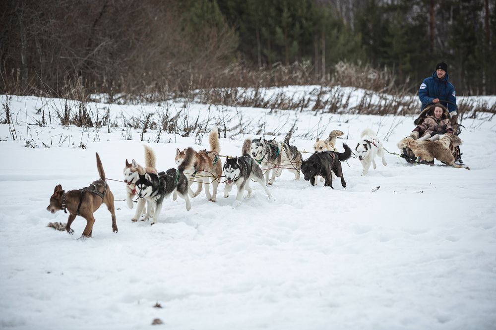 Photograph by Ivan Osipov