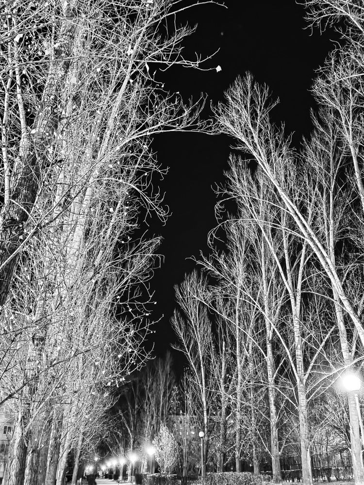 Фотография автора Юрий Звонарев