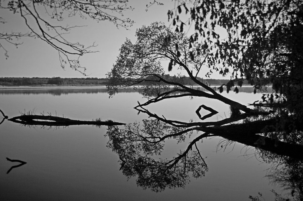 Photograph by Сергей Зятиков