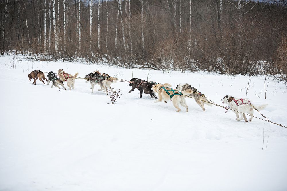 Photograph by Ivan Osipov