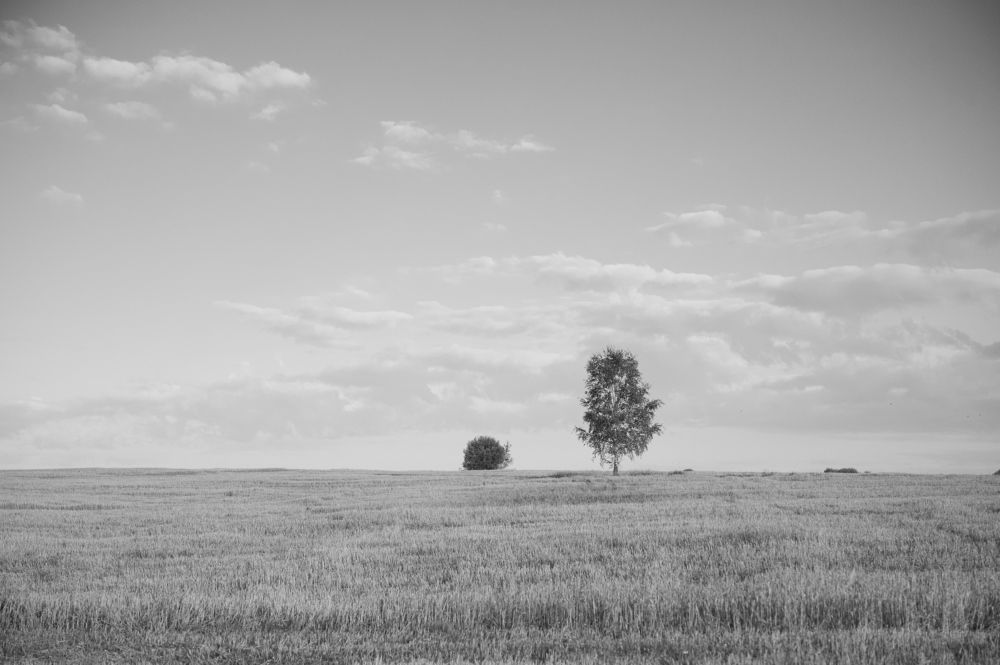 Photograph by Самосудов Рустам