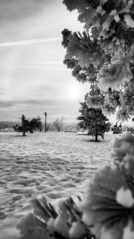 Photograph by Анна Панова